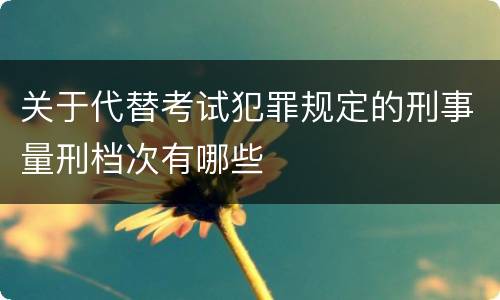 关于代替考试犯罪规定的刑事量刑档次有哪些