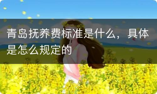 青岛抚养费标准是什么，具体是怎么规定的
