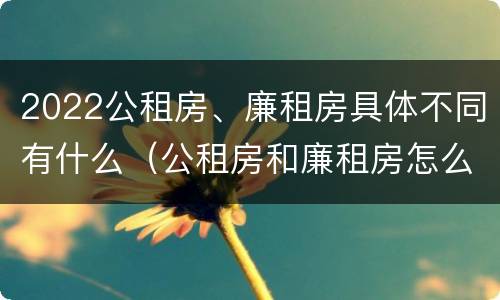 2022公租房、廉租房具体不同有什么（公租房和廉租房怎么收费）