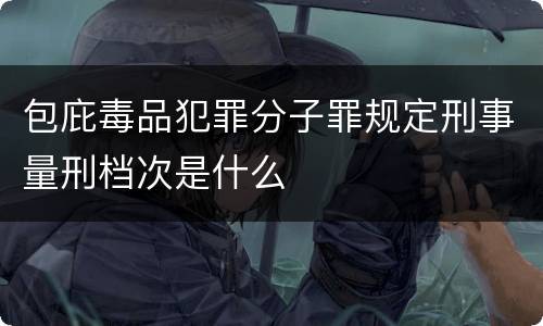 包庇毒品犯罪分子罪规定刑事量刑档次是什么