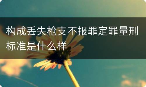 构成丢失枪支不报罪定罪量刑标准是什么样