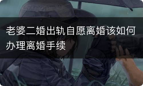 老婆二婚出轨自愿离婚该如何办理离婚手续