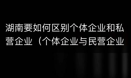 湖南要如何区别个体企业和私营企业（个体企业与民营企业有啥不同）