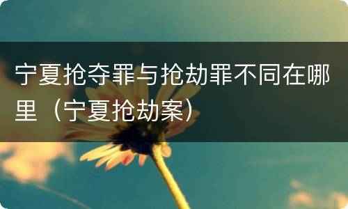 宁夏抢夺罪与抢劫罪不同在哪里（宁夏抢劫案）
