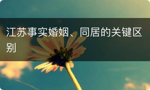 江苏事实婚姻、同居的关键区别