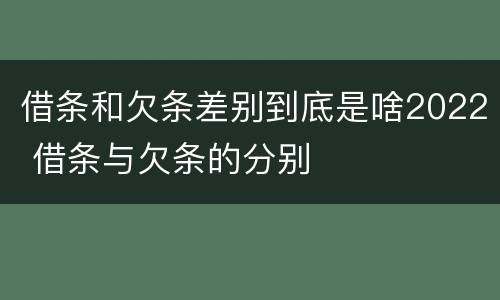 借条和欠条差别到底是啥2022 借条与欠条的分别