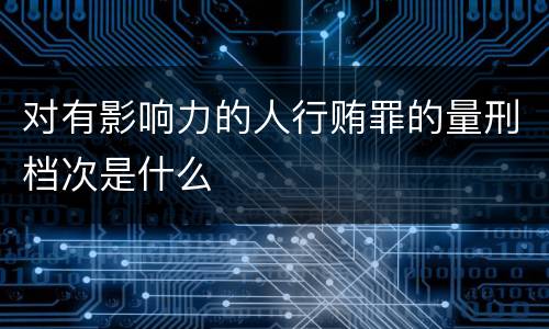对有影响力的人行贿罪的量刑档次是什么