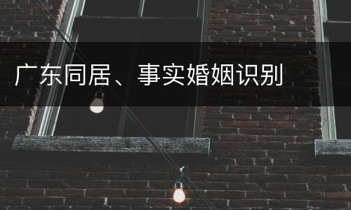 广东同居、事实婚姻识别