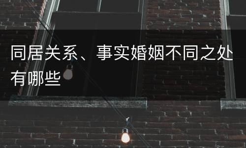 同居关系、事实婚姻不同之处有哪些