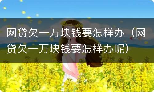 网贷欠一万块钱要怎样办（网贷欠一万块钱要怎样办呢）