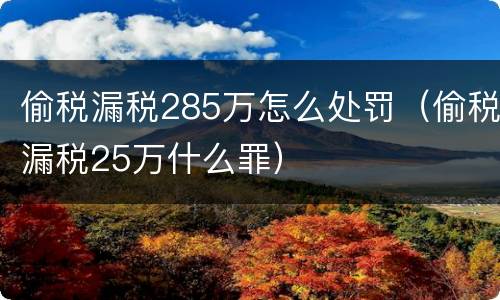 偷税漏税285万怎么处罚（偷税漏税25万什么罪）