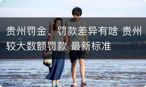 贵州罚金、罚款差异有啥 贵州较大数额罚款 最新标准
