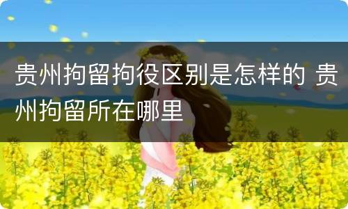 贵州拘留拘役区别是怎样的 贵州拘留所在哪里