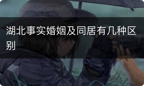 湖北事实婚姻及同居有几种区别