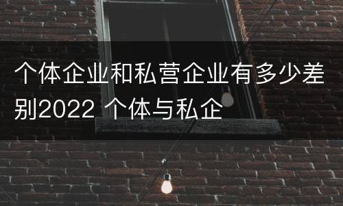 个体企业和私营企业有多少差别2022 个体与私企