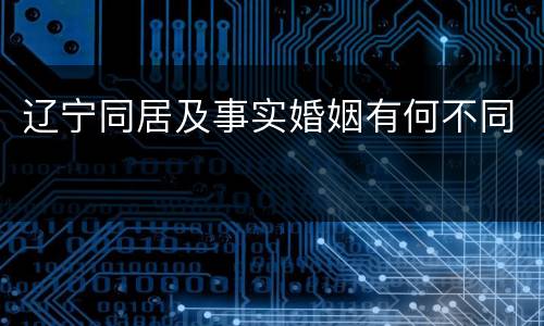 辽宁同居及事实婚姻有何不同