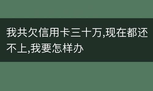 我共欠信用卡三十万,现在都还不上,我要怎样办