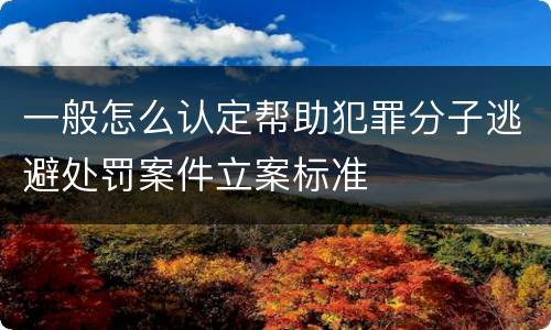一般怎么认定帮助犯罪分子逃避处罚案件立案标准