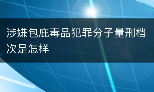 涉嫌包庇毒品犯罪分子量刑档次是怎样