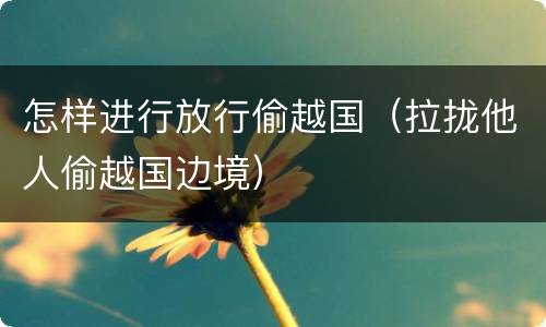 怎样进行放行偷越国（拉拢他人偷越国边境）