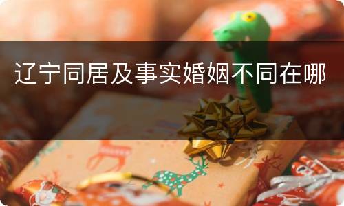 辽宁同居及事实婚姻不同在哪