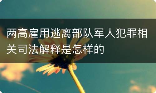 两高雇用逃离部队军人犯罪相关司法解释是怎样的
