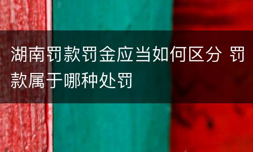 湖南罚款罚金应当如何区分 罚款属于哪种处罚