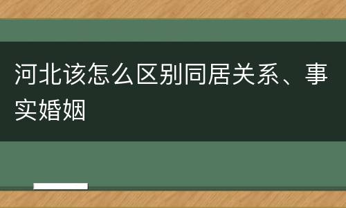 河北该怎么区别同居关系、事实婚姻
