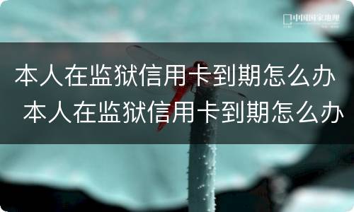 本人在监狱信用卡到期怎么办 本人在监狱信用卡到期怎么办呢