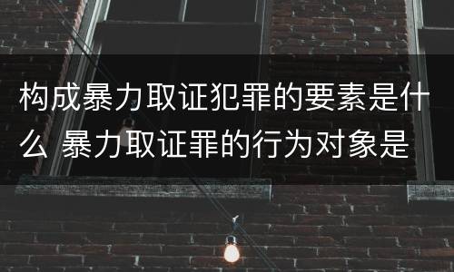 构成暴力取证犯罪的要素是什么 暴力取证罪的行为对象是