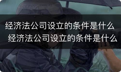 经济法公司设立的条件是什么 经济法公司设立的条件是什么意思