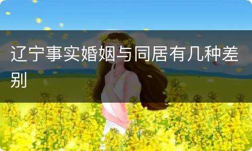 辽宁事实婚姻与同居有几种差别