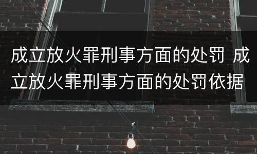 成立放火罪刑事方面的处罚 成立放火罪刑事方面的处罚依据