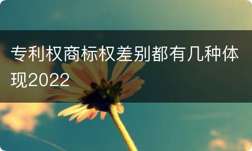 专利权商标权差别都有几种体现2022