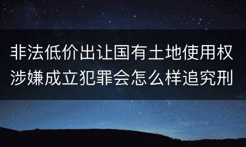 非法低价出让国有土地使用权涉嫌成立犯罪会怎么样追究刑事责任