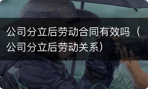 公司分立后劳动合同有效吗（公司分立后劳动关系）