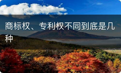 商标权、专利权不同到底是几种