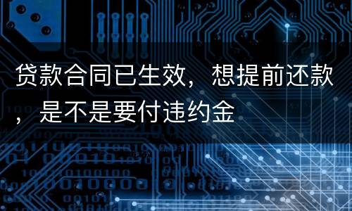 贷款合同已生效，想提前还款，是不是要付违约金