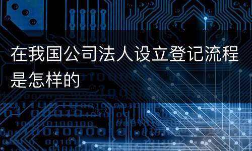 在我国公司法人设立登记流程是怎样的