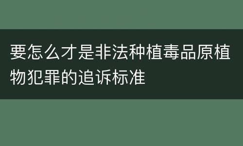 要怎么才是非法种植毒品原植物犯罪的追诉标准