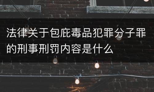 法律关于包庇毒品犯罪分子罪的刑事刑罚内容是什么