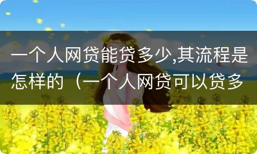 一个人网贷能贷多少,其流程是怎样的（一个人网贷可以贷多少）