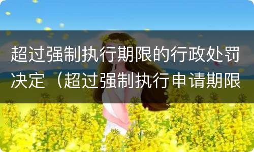 超过强制执行期限的行政处罚决定（超过强制执行申请期限的救济办法）