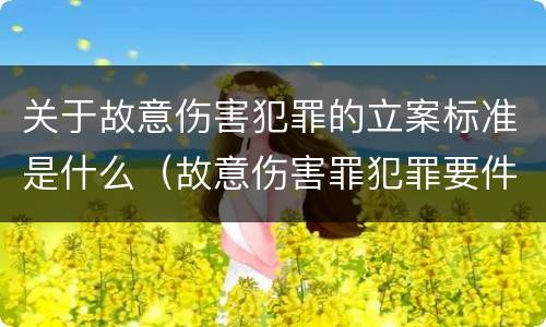 关于故意伤害犯罪的立案标准是什么（故意伤害罪犯罪要件）