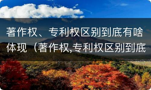 著作权、专利权区别到底有啥体现（著作权,专利权区别到底有啥体现呢）