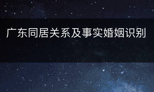 广东同居关系及事实婚姻识别