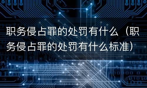 职务侵占罪的处罚有什么（职务侵占罪的处罚有什么标准）
