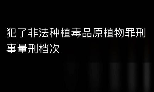 犯了非法种植毒品原植物罪刑事量刑档次