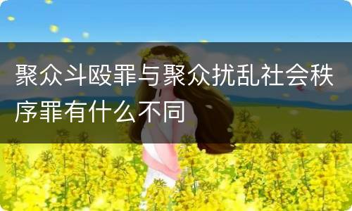 聚众斗殴罪与聚众扰乱社会秩序罪有什么不同