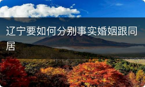 辽宁要如何分别事实婚姻跟同居